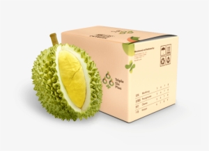 Fresh Durian - Box