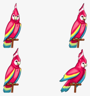 Click For Full Sized Image Polly - Phoenix Wright Parrot Polly