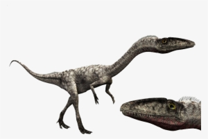 6734863 Orig - Walking With Dinosaurs Eoraptor