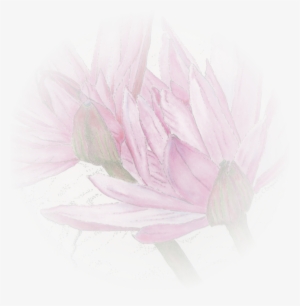 A Gentle, Hands-on And Deeply Relaxing Therapy That