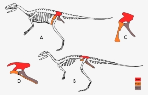 Dino Evol 1 Modificated Es - Saurisquios Y Ornitisquios Diferencias
