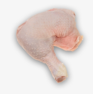 Whole Chicken Leg - Turkey Meat