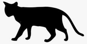 Open - Acoustic Kitty By Bob Rybarczyk