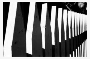 Screen 12 On Flowvella - Photography Rhythm In Art