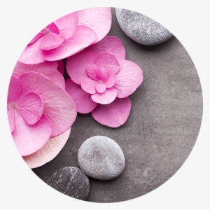 Alpamare Spa Homepage Alpamare Homepage - Spa And Beauty Party