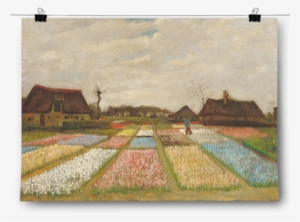 Vincent Van Gogh - Tulip Fields Van Gogh
