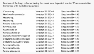 Permanent Vouchered Specimens From Locke Nature Reserve,