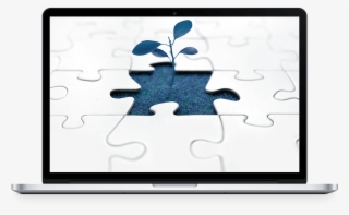 Grow Your Business