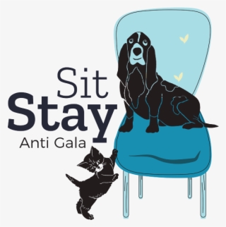 An Evening At Home To Help Homeless Animals