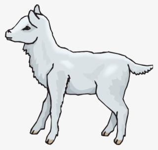 How To Set Use Lamb Standing Icon Png