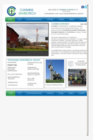 Cummins Envirotech Competitors, Revenue And Employees