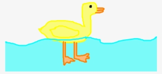 Pato