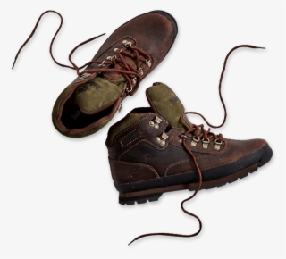 Find Your Floor Or View Divergence Oak