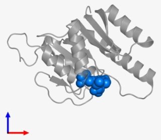<div Class='caption-body'>pdb Entry 2nyu Contains 1