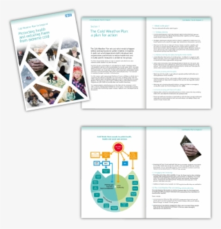 Taking Inspiration From A Japanese Ice Screen, The