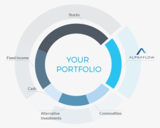 Investment Portfolio
