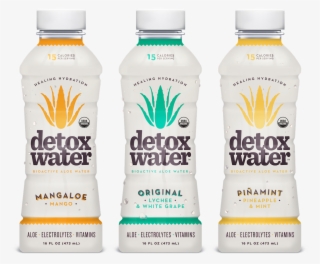 528984858 - Detoxwater-2015