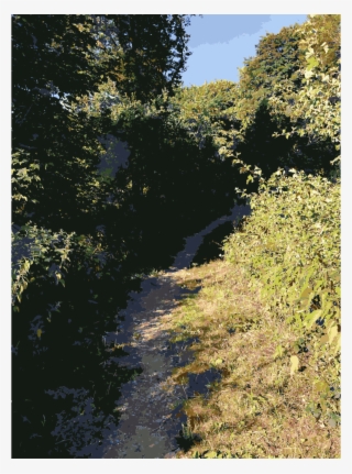 Lichtscheid Clipart Lichtscheid Forest Vegetation