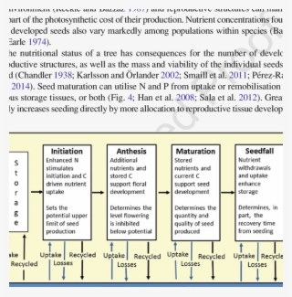 Resource Dynamics Representation Of A Mesic Temperate