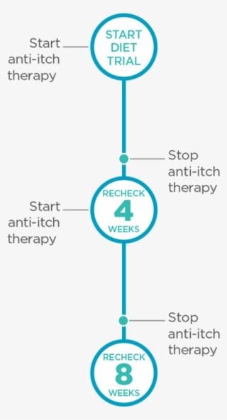 Relieve Itch With Apoquel During An 8-week Food Trial9
