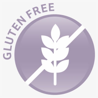 Raw Organic All In One Shake Chocolate Is A Usda And