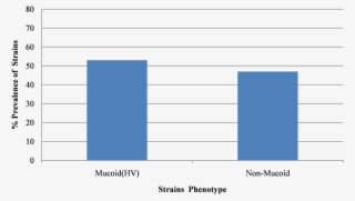 Pneumoniae Were Streaked On 5% Sheep Blood Agar, Incubated