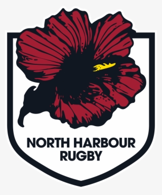North Harbour 2018 Secondary Schools Girls Development