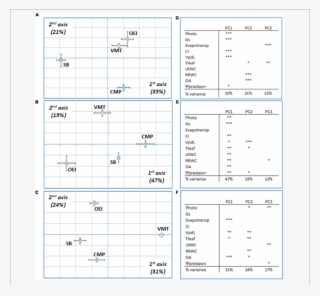 Wild Beets And Sugar Beet Responses Submitted To A