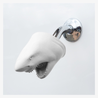Shark Showerhead