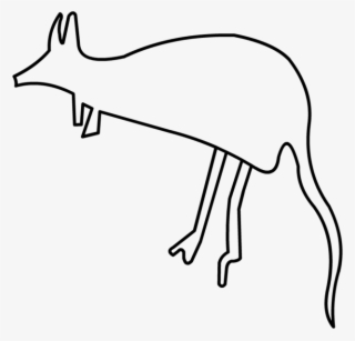 Drawing Kangaroo Foot