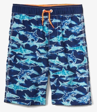 Boy's Swim Suit