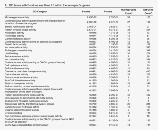 Enrichment Analysis For Go/kegg Terms And Gene Families