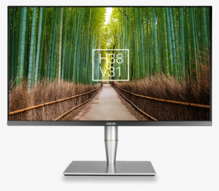 Proart Pa32uc Provides You With An Onscreen Grid Overlay