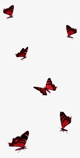 Tubes Varies Pngamusez Vous Biencaroline