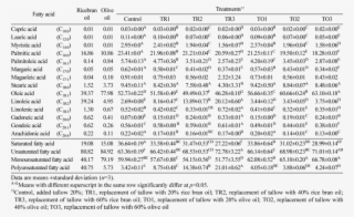 Fatty Acid Composition Of Beef Patties Replacing Tallow