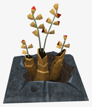 Plant .png