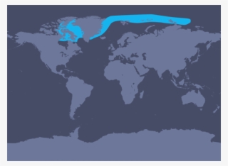 Distribution Map -