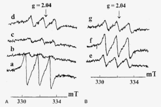 Effect Of Addition Of Ascorbate And Nor 1 After 15