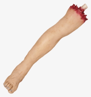 Severed Leg
