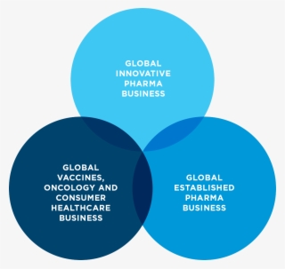 How We Are Organized
