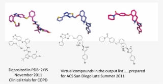 Left Pfizer Ligand In Pdb 2yis Right Spark Output Example