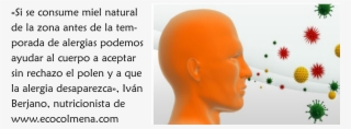 Alergias Al Polen