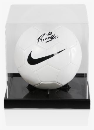 Zoom - Acrylic Display Ball