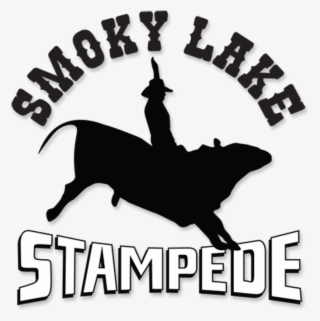 Ladies Barrel Racing Tie Down Roping Bareback Riding - Smokin Babes Bbq