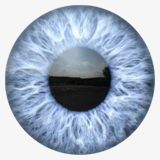 Eyes Sticker - Circle