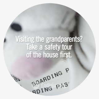 Visiting Grandparents Quiz Action Photo - Hazard Analysis
