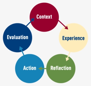 Flow Chart Using Circles And Arrows To Illustrate The - Australian Institute Of Export
