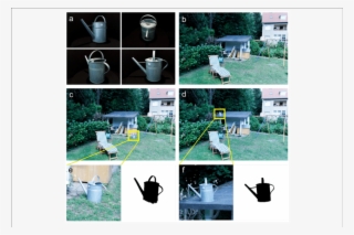 Download - Backyard