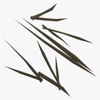 Twig
