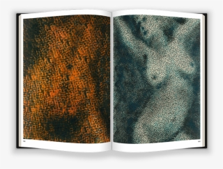 Featuring A Foreword By Chris Kraus, Jane Dickson In - Visual Arts